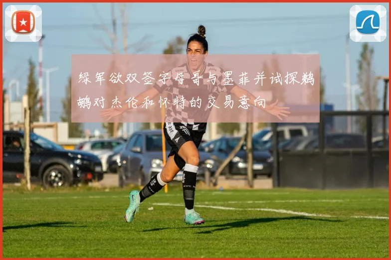 绿军欲双签字母哥与墨菲并试探鹈鹕对杰伦和怀特的交易意向